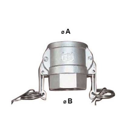 Connessione camlock femminile - filo in acciaio inossidabile femminile BSP