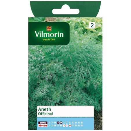 Fiche produit Aneth Officinal