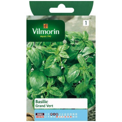 Fiche produit Basilic Grand vert