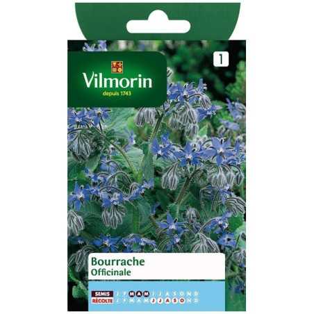 Fiche produit Bourrache Officinale