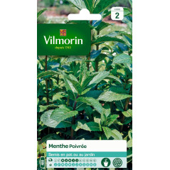 Fiche produit Menthe poivrée de chez multitanks 5877946