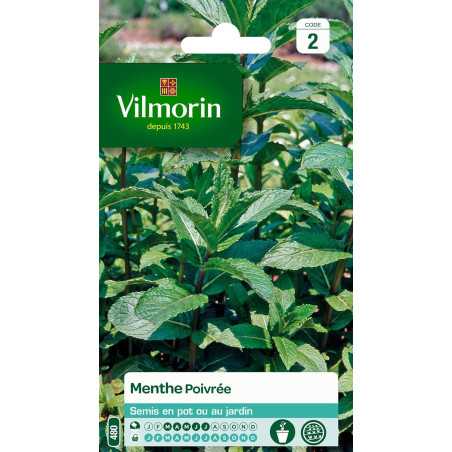 Fiche produit Menthe poivrée de chez multitanks 5877946