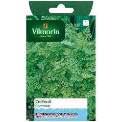 Fiche produit Cerfeuil commun