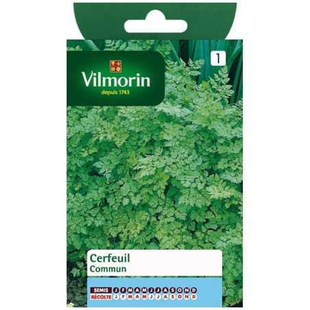 Fiche produit Cerfeuil commun