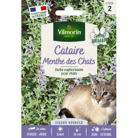 Catnout Seed Bag Catmint in formato economico