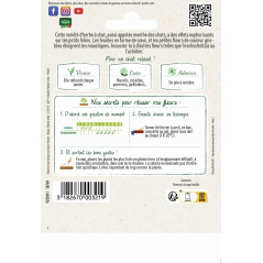 Catnout Seed Bag Catmint in formato economico