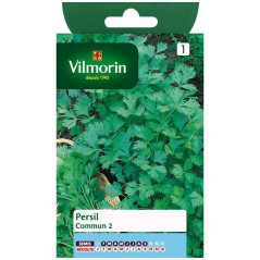 Fiche produit Persil commun 2