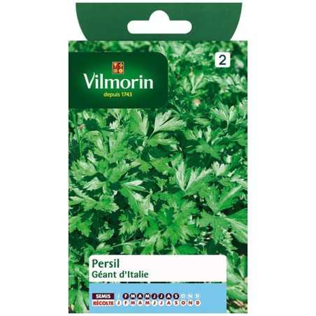 Fiche produit Persil géant d'Italie