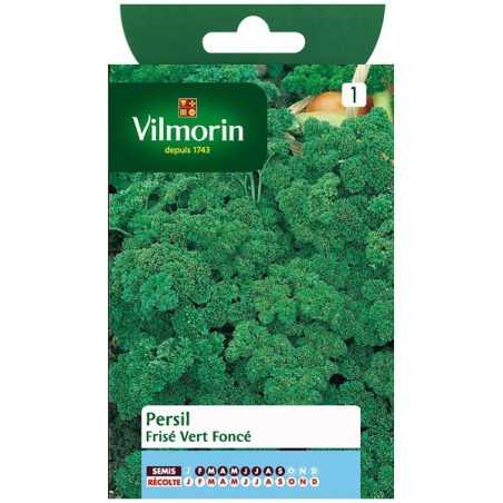 Fiche produit Persil frisé vert foncé