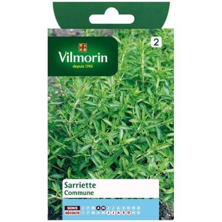 Fiche produit Sarriette commune